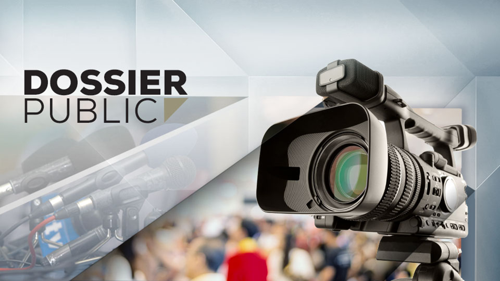 Dossier public
