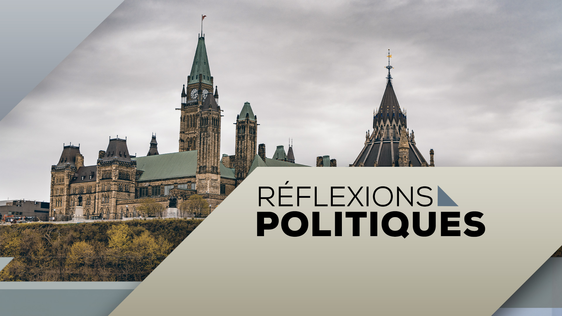 Réflexions politique